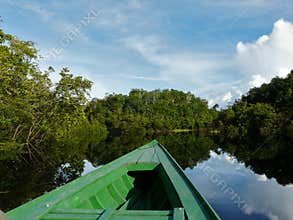 Beauty of Amazon