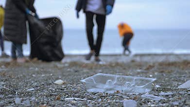 Volunteers clean up trash on the beach in the fall. Environmental issues