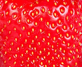 Strawberry texture
