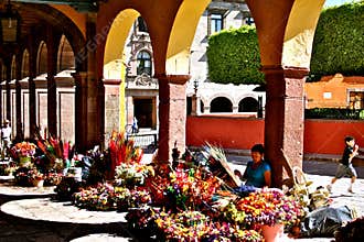 Flower Market, Mexico