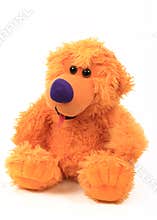 Toys: teddy bear