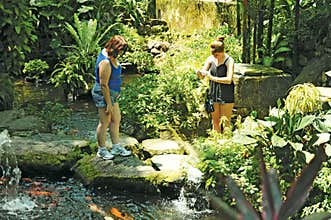 PENANG BUTTERFLY FARM - PULAU PINANG