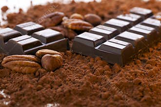 Chocolate Bar and Cocoa Powder