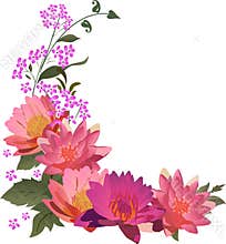Pink lily flowers curl illustration