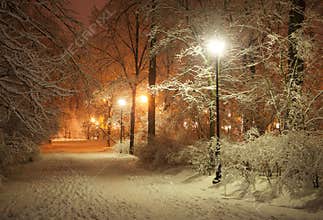 Winter alley at night