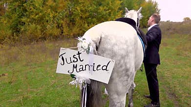 Just married bride and groom standing holding hands near the horse with the inscription just married.