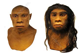 Neanderthal man face