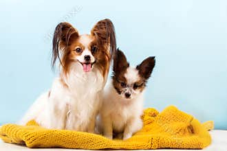 Mom with her puppy