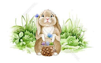 Easter bunny on the meadow watercolor illustration. Funny cute little rabbit on the green grass with a basket full of eggs. Tradit