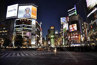 Shibuya Crossing