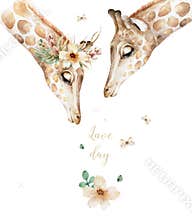 Poster with couple giraffe. Watercolor cartoon giraffe tropical animal illustration. Jungle exotic summer design for