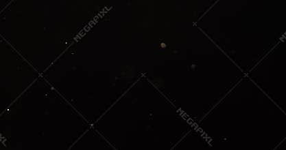 Small real dust particles floats over black backgound