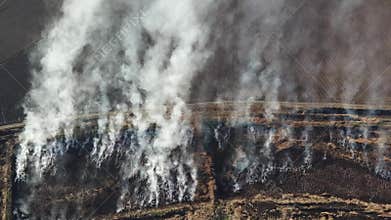 Vegetation fire from a bird`s eye view