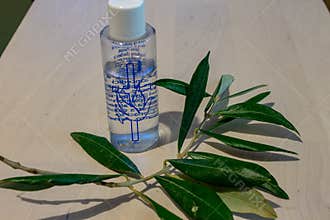 On the Sunday of the plame, an olive branch with holy water is blessed.