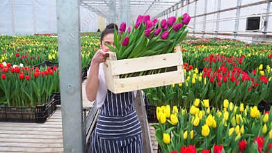 A young woman works in a flower greenhouse.