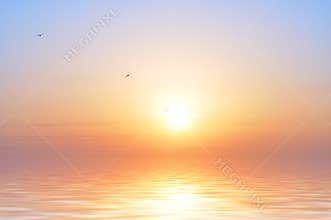 Ocean sunrise and birds