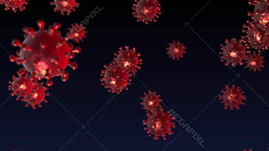 Corona Virus - the SARS Cov 2 Virus