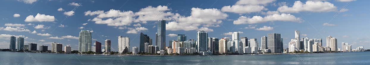 Miami Skyline