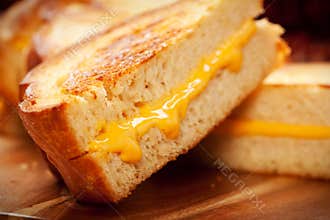 Grilled Cheese Sandwich