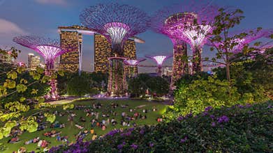 Futuristic aerial view of amazing illumination at Garden by the Bay day to night timelapse in Singapore.