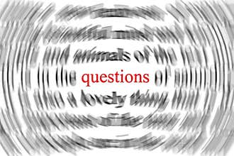 Questions