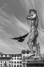 A flying bird passes by the replica of Michelangelo`s famous statue of David, Piazza della Signoria square, Florence, Italy