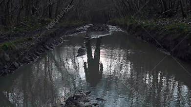 An out of focus, blurred ghostly woman wearing a white dress, running away from the camera. On a misty autumn day in a forest