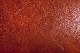 Brown Leather Texture