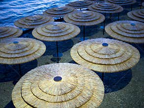 Reed canopies on an empty evening beach