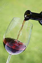 Wine Pouring