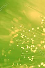 Fiber optics lights