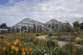 Wisley gardens glass house