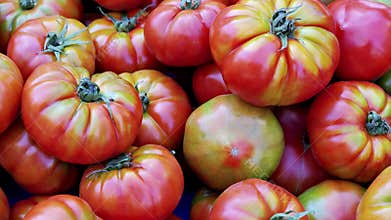 Tomatoes, at a market in Turkey, asia