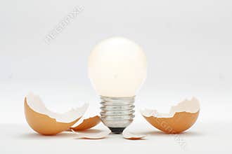 Bright New Innovation Idea Hatching
