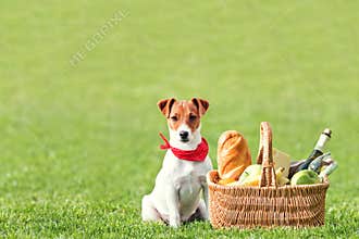 Picnic