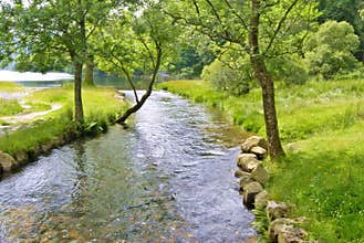 Peaceful river scene