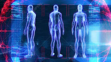 Human Male Anatomy 3D Animation Biology Science Technology (4K UltraHD Loop)