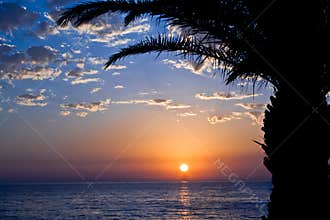 Sunset with sea and palm