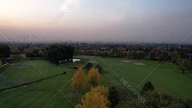 A flock of birds flies over the golf courses.