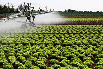 Modern irrigation system