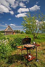 Picnic Barbecue in a Garden