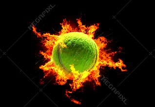 Tennis Ball