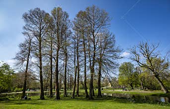 Beautiful view of a lake in Vondelpark, Amsterdam, Netherland