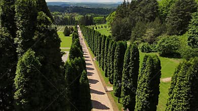 AERIAL: Beautiful Valley of Roses Park with beautiful cypresses along the paths