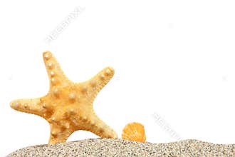 Beach with sand and starfish