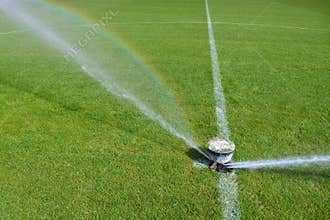 Watering grass