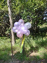 Balloons Party Marker