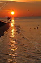 Daybreak
