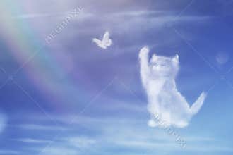 Angel cat walking on the rainbow bridge.