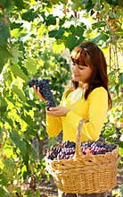 Woman in vineyard